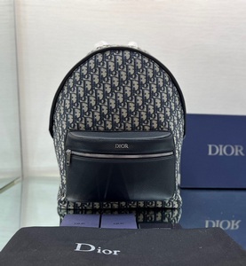 DIOR Handbags 1159